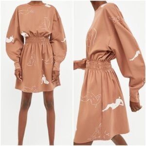 Zara NWT figures dress